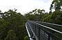 Tree Top Walk